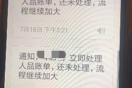 新宁遇到恶意拖欠？专业追讨公司帮您解决烦恼