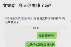 新宁如何避免债务纠纷？专业追讨公司教您应对之策